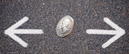 ls coin flip sneakers 1